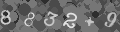 Please type the characters of this captcha image in the input box