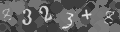 Please type the characters of this captcha image in the input box