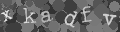 Please type the characters of this captcha image in the input box