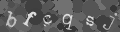Please type the characters of this captcha image in the input box
