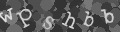 Please type the characters of this captcha image in the input box