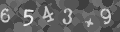 Please type the characters of this captcha image in the input box