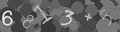 Please type the characters of this captcha image in the input box