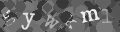 Please type the characters of this captcha image in the input box
