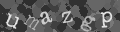 Please type the characters of this captcha image in the input box