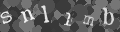 Please type the characters of this captcha image in the input box