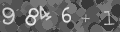 Please type the characters of this captcha image in the input box