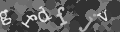 Please type the characters of this captcha image in the input box