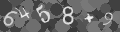 Please type the characters of this captcha image in the input box