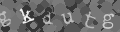 Please type the characters of this captcha image in the input box