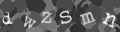 Please type the characters of this captcha image in the input box