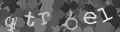 Please type the characters of this captcha image in the input box