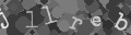 Please type the characters of this captcha image in the input box