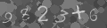 Please type the characters of this captcha image in the input box
