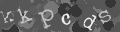 Please type the characters of this captcha image in the input box