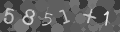 Please type the characters of this captcha image in the input box