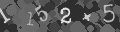 Please type the characters of this captcha image in the input box