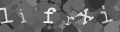 Please type the characters of this captcha image in the input box