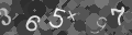 Please type the characters of this captcha image in the input box