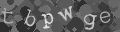 Please type the characters of this captcha image in the input box