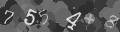 Please type the characters of this captcha image in the input box