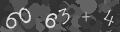 Please type the characters of this captcha image in the input box