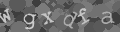 Please type the characters of this captcha image in the input box