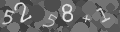 Please type the characters of this captcha image in the input box