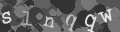 Please type the characters of this captcha image in the input box