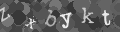 Please type the characters of this captcha image in the input box