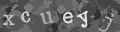 Please type the characters of this captcha image in the input box