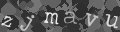 Please type the characters of this captcha image in the input box