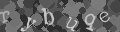Please type the characters of this captcha image in the input box