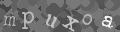 Please type the characters of this captcha image in the input box