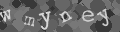 Please type the characters of this captcha image in the input box
