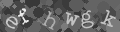 Please type the characters of this captcha image in the input box