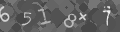 Please type the characters of this captcha image in the input box