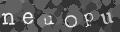 Please type the characters of this captcha image in the input box