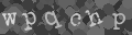 Please type the characters of this captcha image in the input box