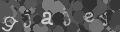 Please type the characters of this captcha image in the input box