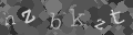 Please type the characters of this captcha image in the input box
