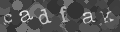 Please type the characters of this captcha image in the input box