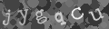 Please type the characters of this captcha image in the input box