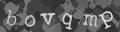 Please type the characters of this captcha image in the input box