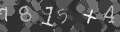 Please type the characters of this captcha image in the input box