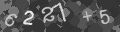 Please type the characters of this captcha image in the input box