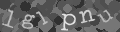 Please type the characters of this captcha image in the input box