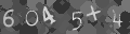Please type the characters of this captcha image in the input box