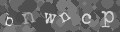 Please type the characters of this captcha image in the input box