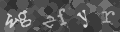 Please type the characters of this captcha image in the input box